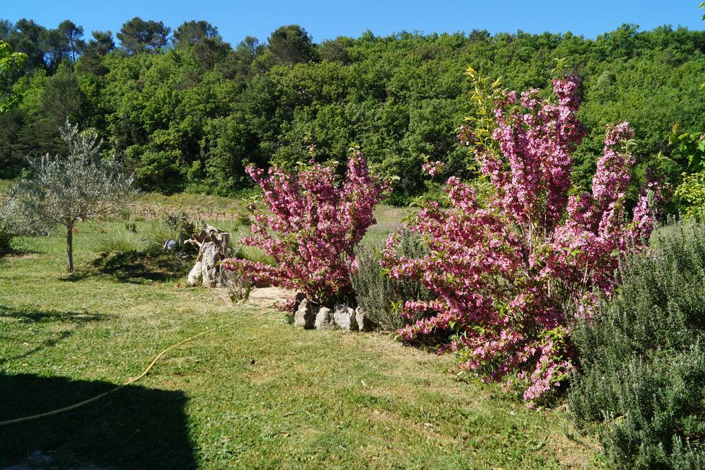 jardin côté sud