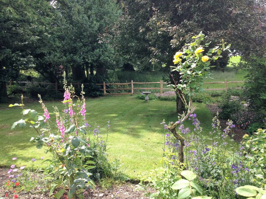 Looking from the patio down across your private garden.