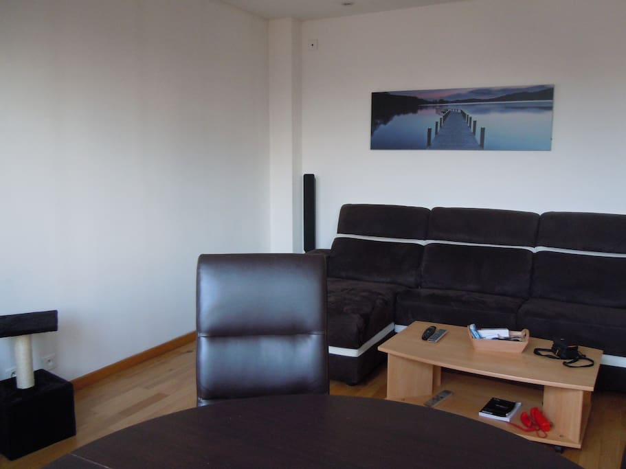Salon/salle à manger