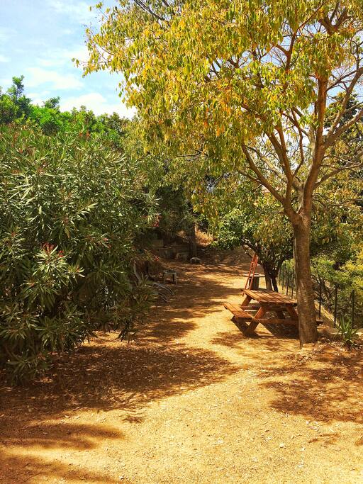 JARDIN