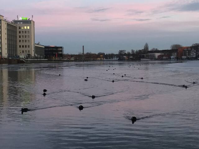 gemütliches Hausboot gallery image 4