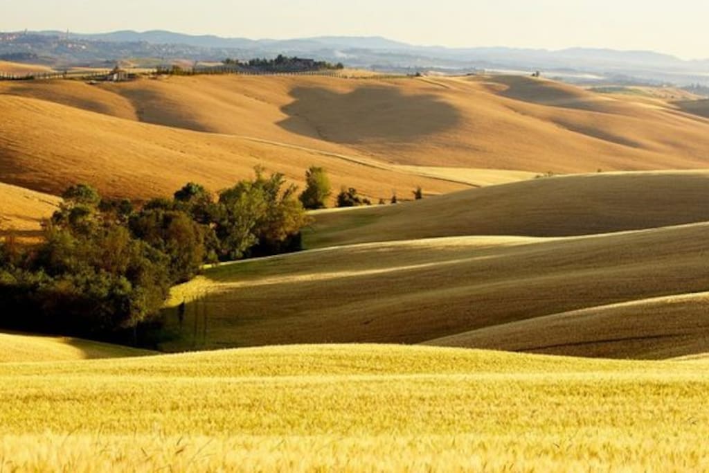 Colline pisane