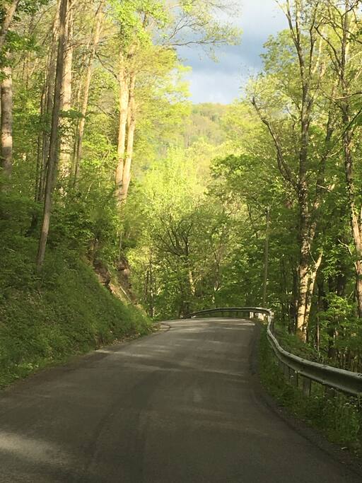 Road to our house in summer