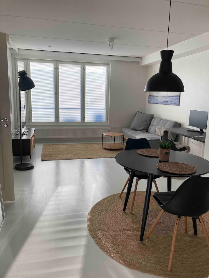 Spacious apartment at the workstation