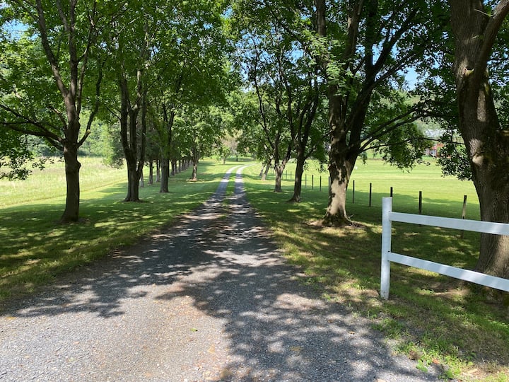 Lake Wynonah Vacation Rentals Airbnb