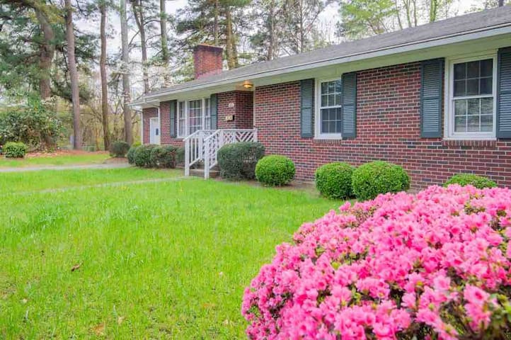 Mid Century Mod Charmer in Quiet Downtown Suffolk