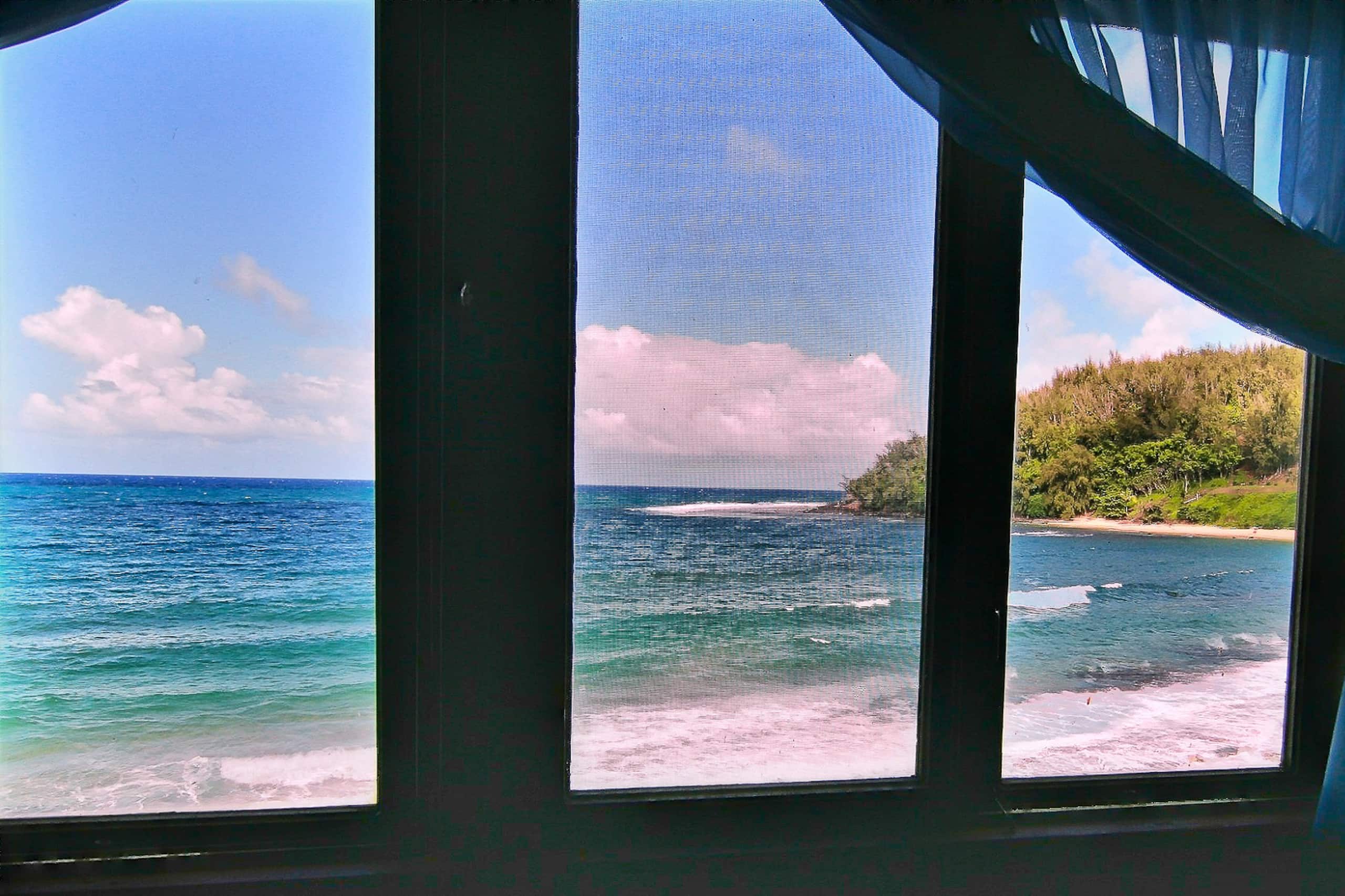 Spectacular Moloa'a Bay on the Beach - Photo 17