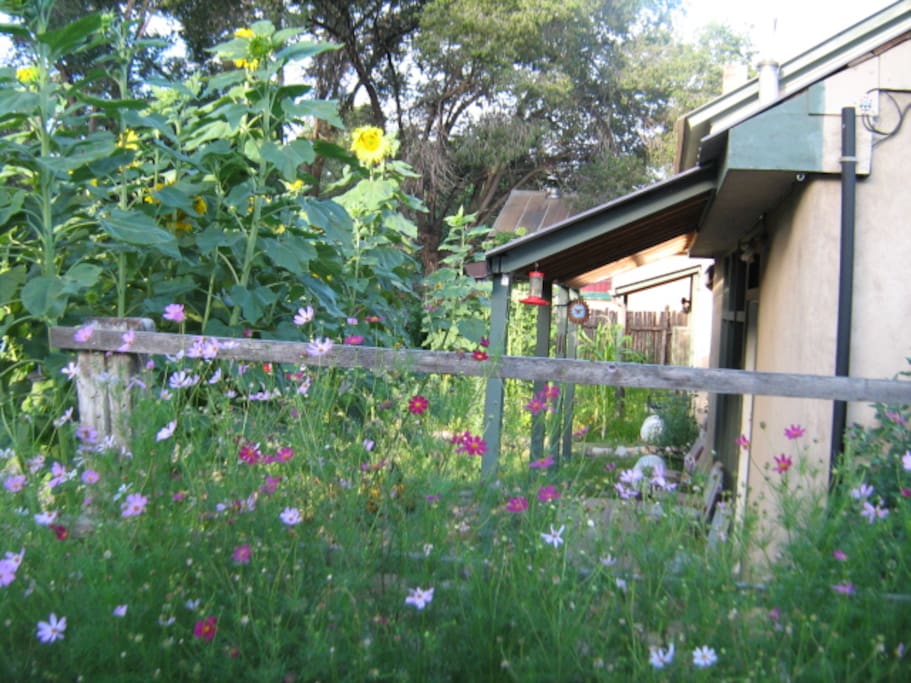 Porch Garden