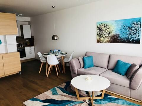 Charming T2 apartment with great Danube view :)