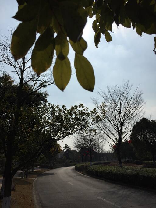 Inner drive road