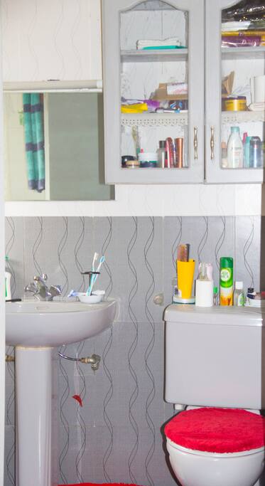 en suite bath tub / shower and lavatory