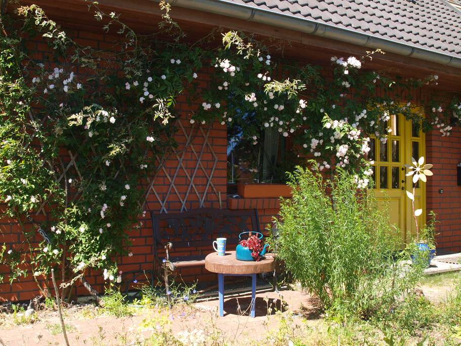 Die Rosenbank, hier scheint morgens schon die Sonne hin