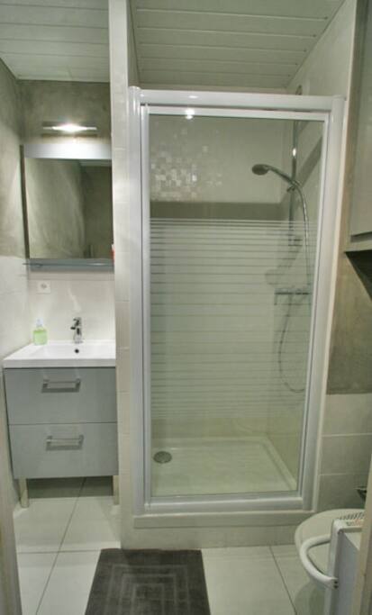 salle d'eau rénovée récemment.