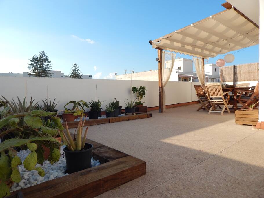 Terrace / Terrass / Terraza