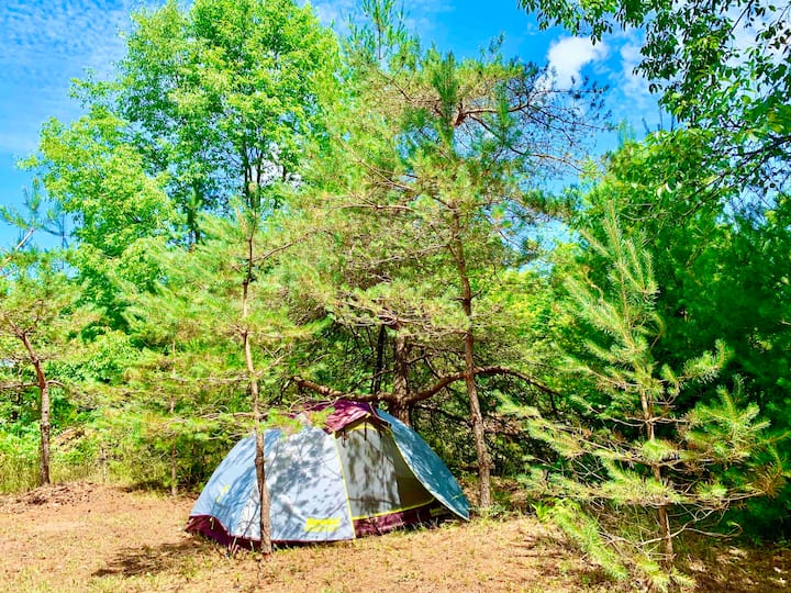 Fresh Air & Sunshine @ Camp Squid Off The Grid! - Frankfort, MI