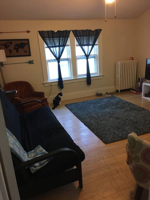 Living room with tv, games and books. Plenty of room for extra guests if needed.