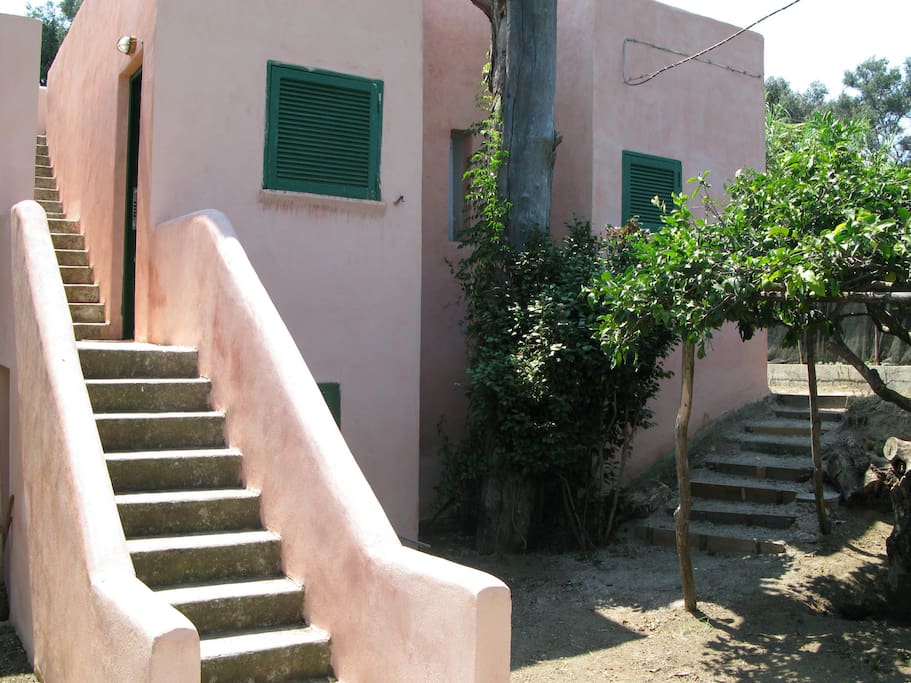 the garden stairs-le scale che conducono al giardino