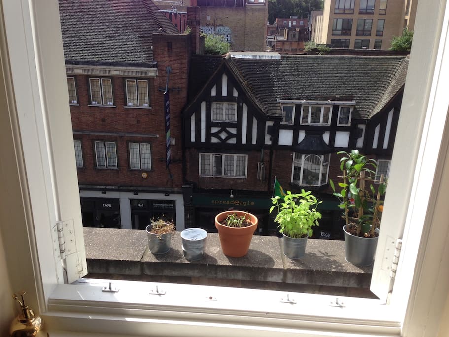 Street view from living room