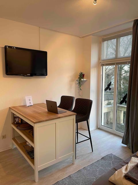 Apartment with balcony overlooking the saline