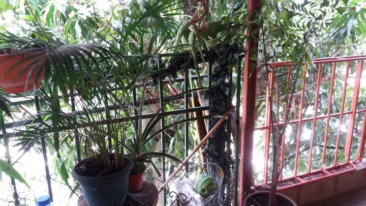 good room spacious and clean with good location