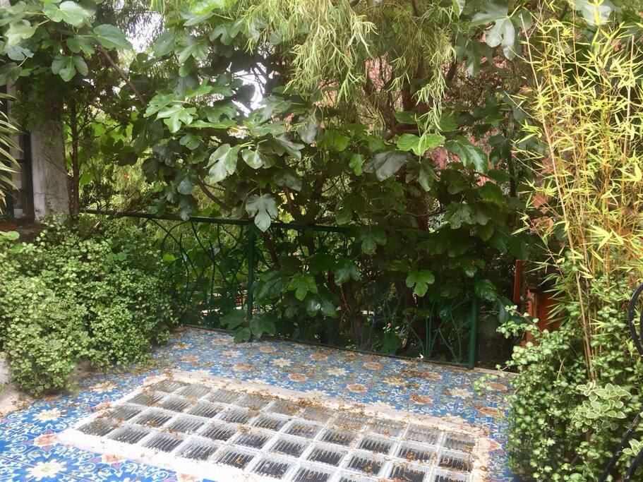 Terraza anexa a la habitación, llena de naturaleza.