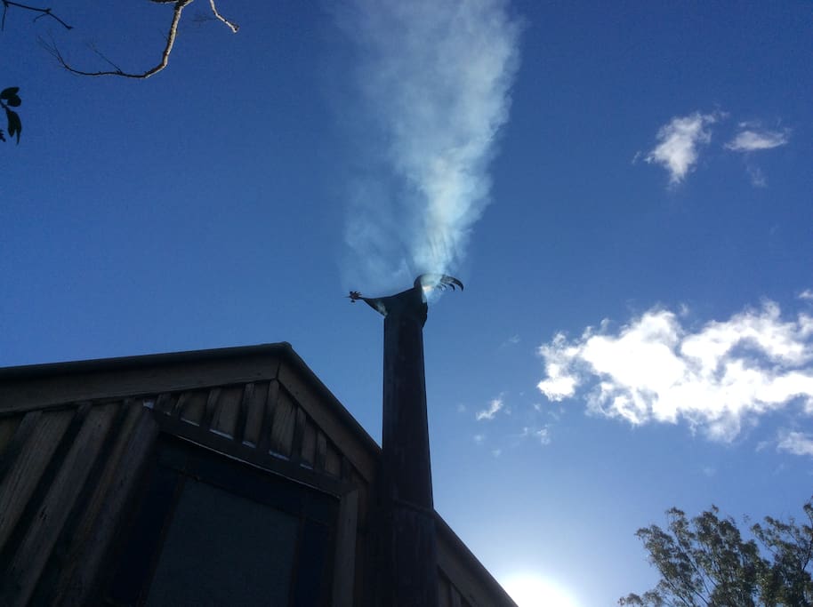 Fired up rooster