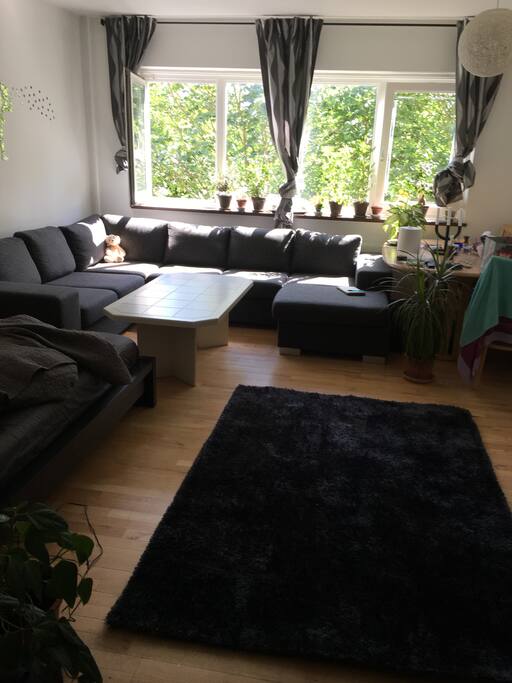 one room apartment with a fully equipped kitchen and a comfy bathroom