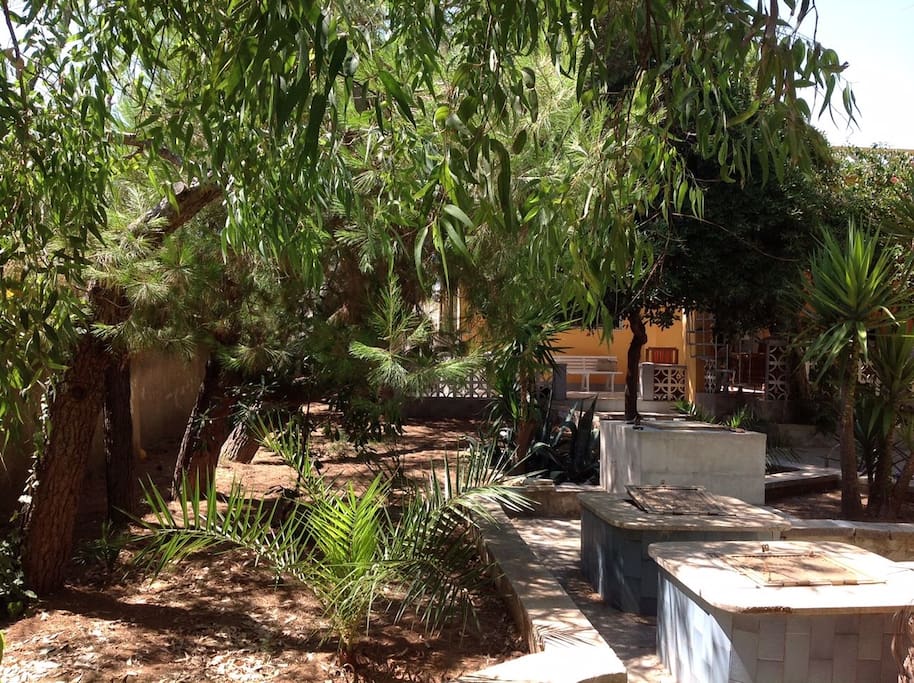 Giardino
