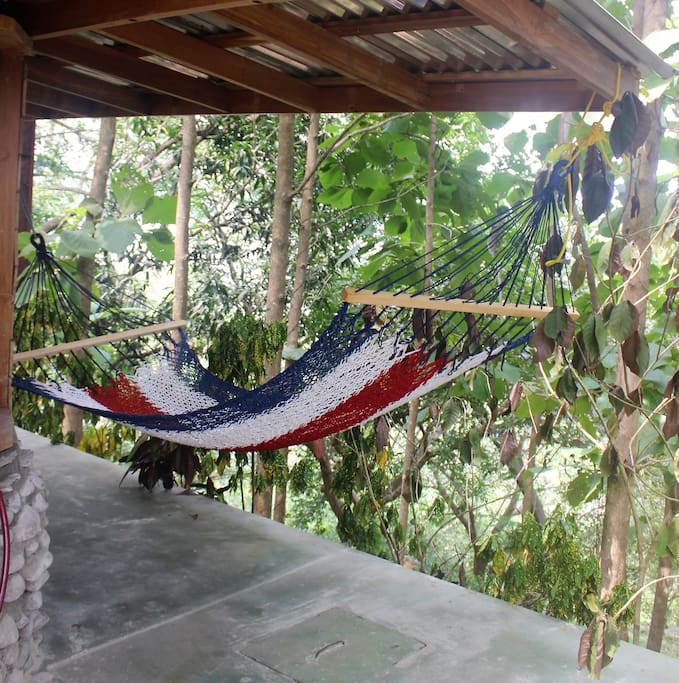 Hammock in a jungle setting