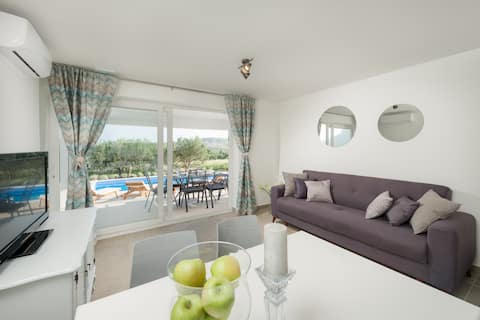 Top performing Airbnb: Holiday House Didovina - fantastic pool in Plano