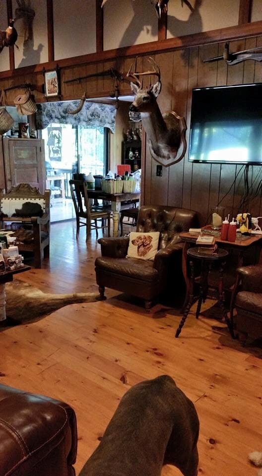 The living area features rustic décor with wooden paneling and antique furnishings. A comfortable leather armchair is positioned beside a wooden table. A large television is mounted on the wall, and decorative animal mounts add character to the ambiance. Natural light spills in from large windows opening to the outside.
