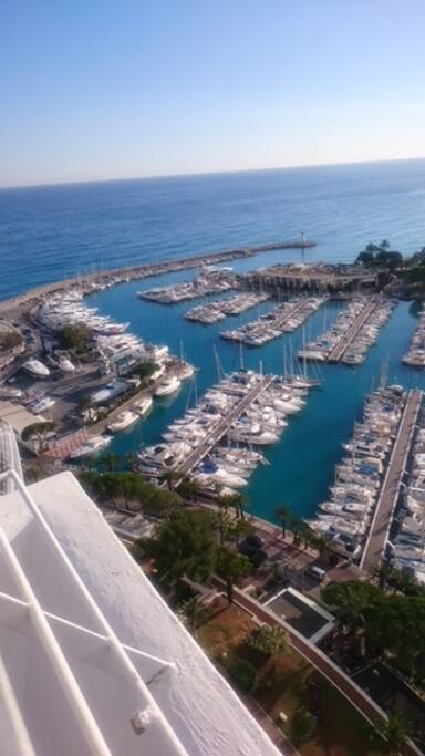 Le port de Marina
