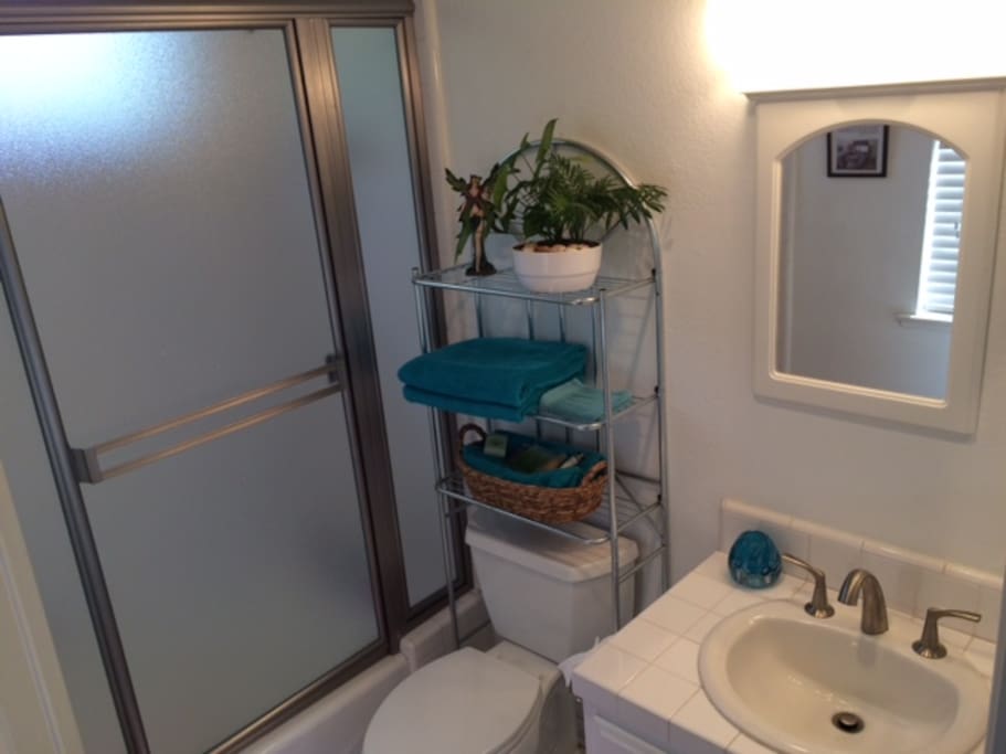Bathroom with all new fixtures and shower door