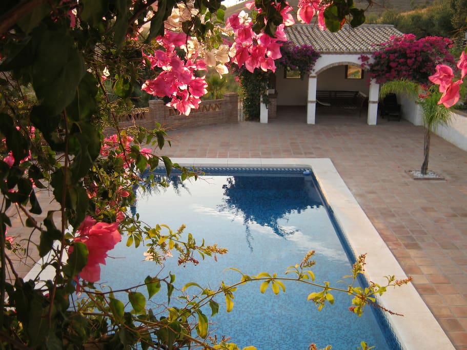 Pool and pool house