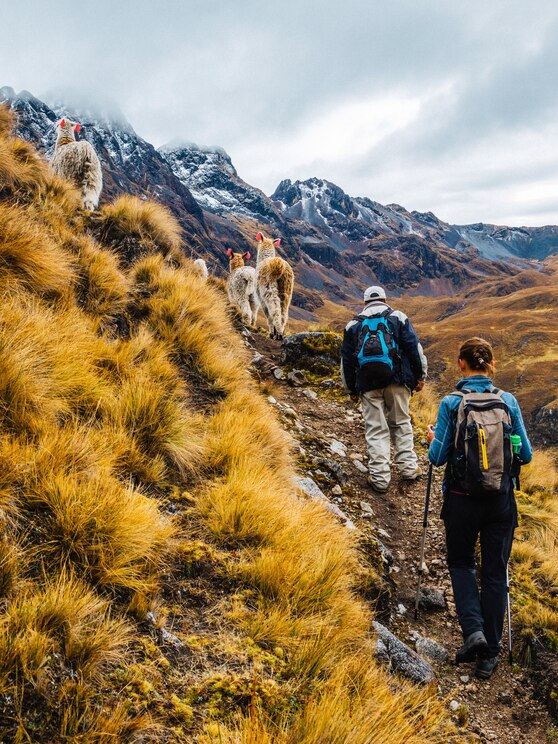 Show full-screen, host-provided image