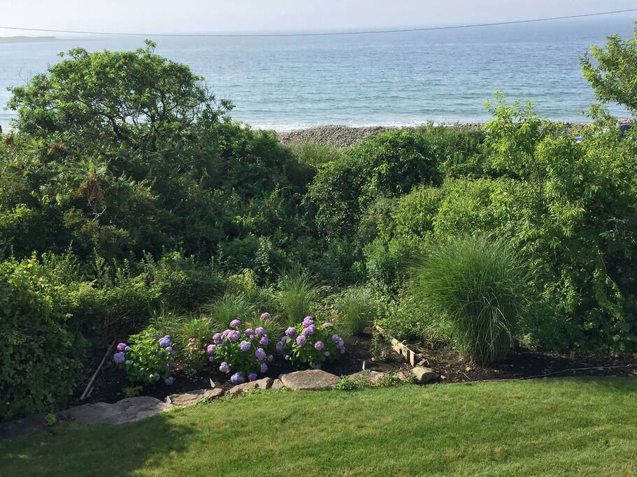 Penzance by the Sea-The gardens have an ocean view.