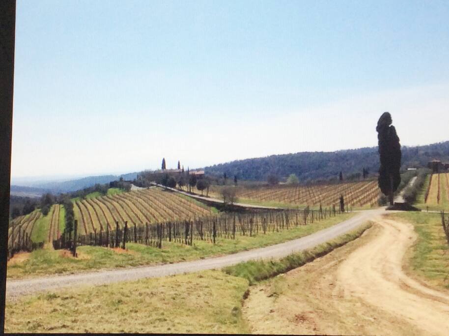 country side