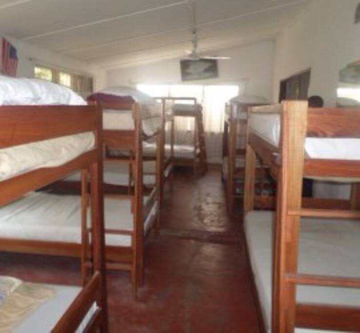Dorm/ Sheared room