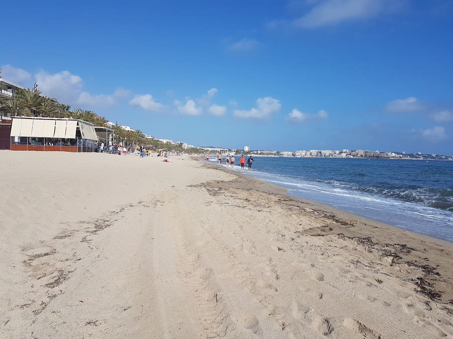 The beach is 100m from the apartment.