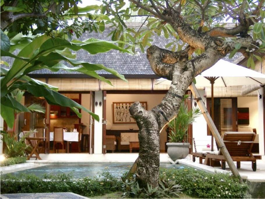 Area view