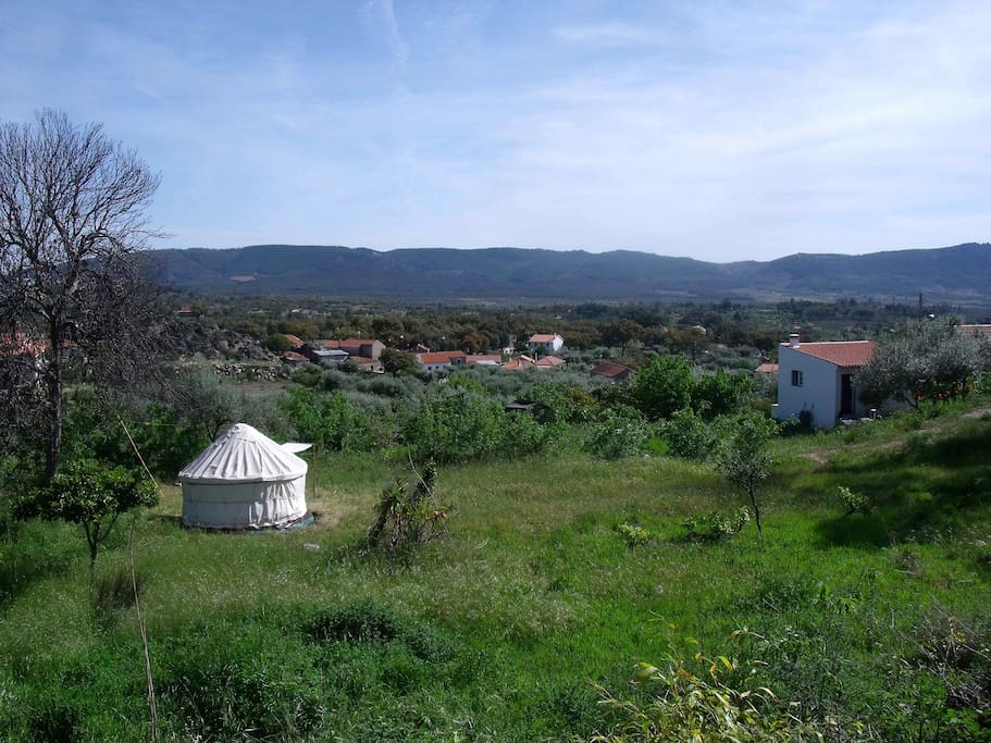 Oak Yurt