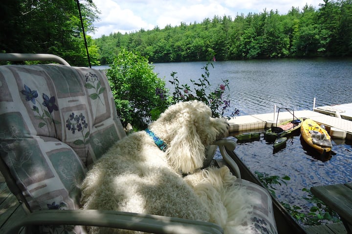 Cottage in Newbury · ★4.95 · 3 bedrooms · 4 beds · 1 private bath