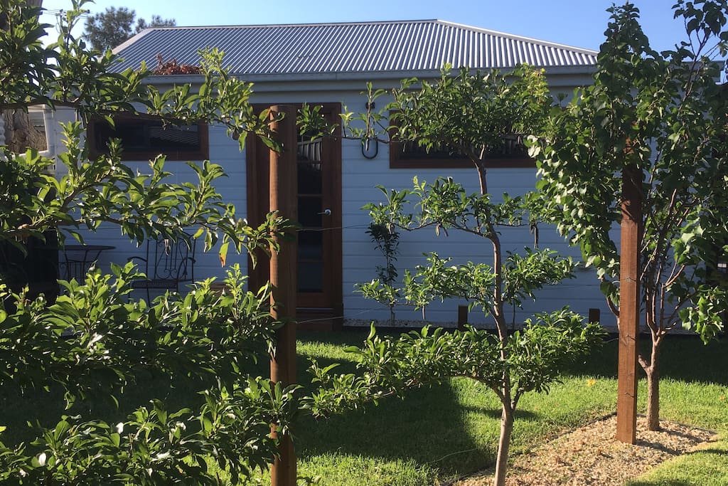The orchard - you might be luck to score some yummy peaches