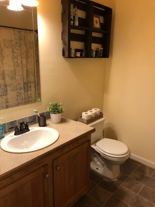 Guest full bathroom