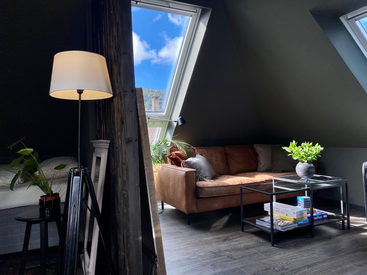 A cozy loft-style living area is highlighted by a large skylight, allowing natural light to fill the space. A comfortable brown sofa is positioned near a coffee table, adorned with magazines and potted plants, creating a relaxing environment.