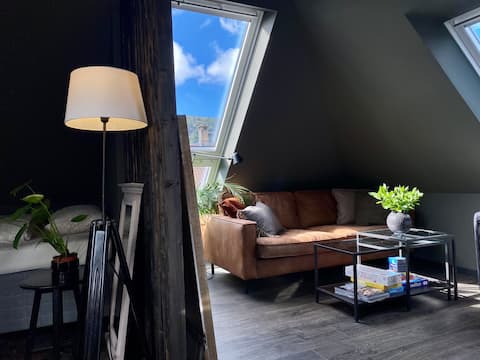 Newly renovated penthouse in Kronstad
