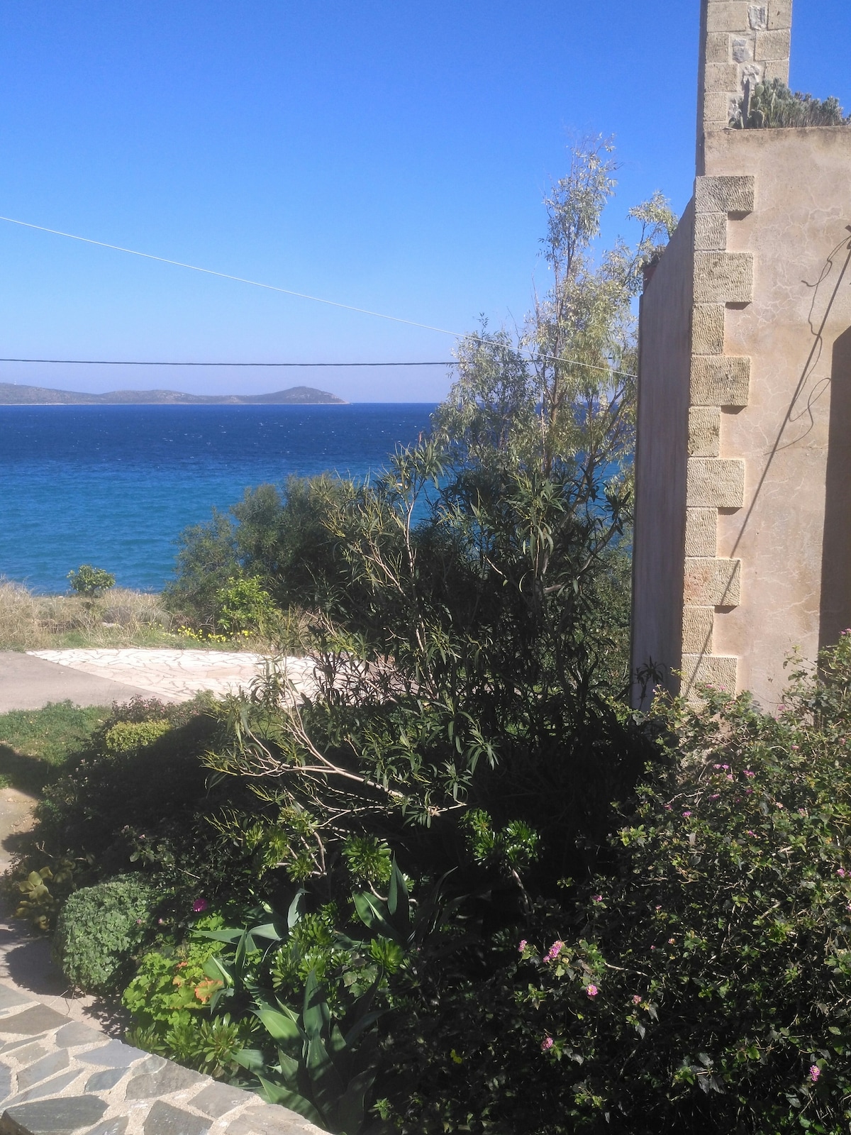 A view of the sea is framed by lush greenery and flowering plants. A stone pathway leads towards the water, with gentle waves visible in the distance under a clear blue sky. The vibrant vegetation enhances the natural beauty of the coastal landscape.
