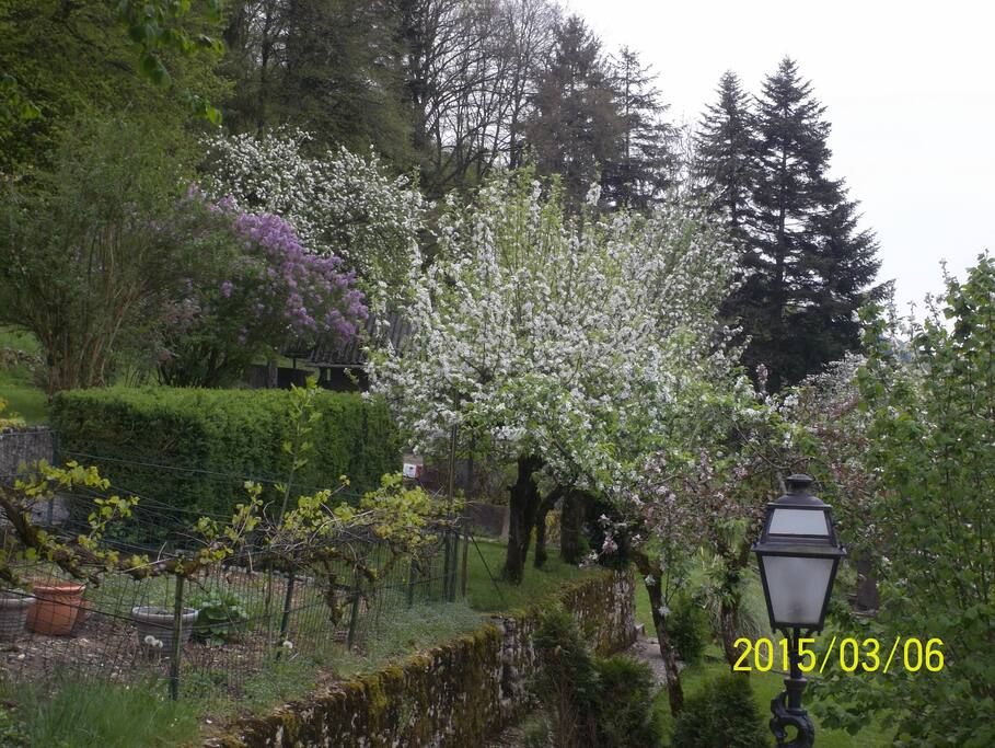 parc arborée