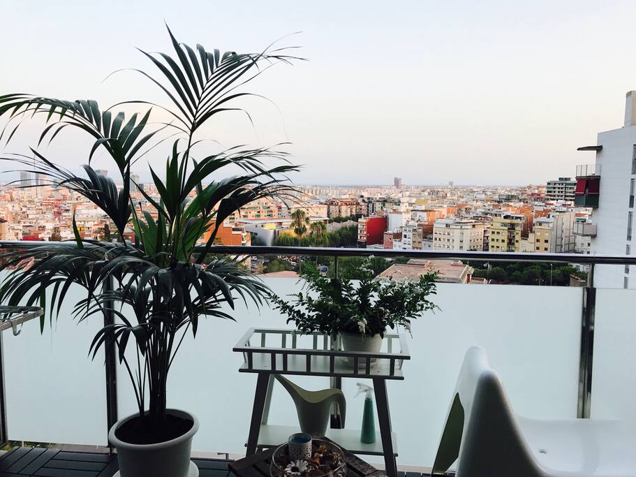 Terrace garden with amazing view