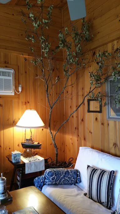Rustic wood interior